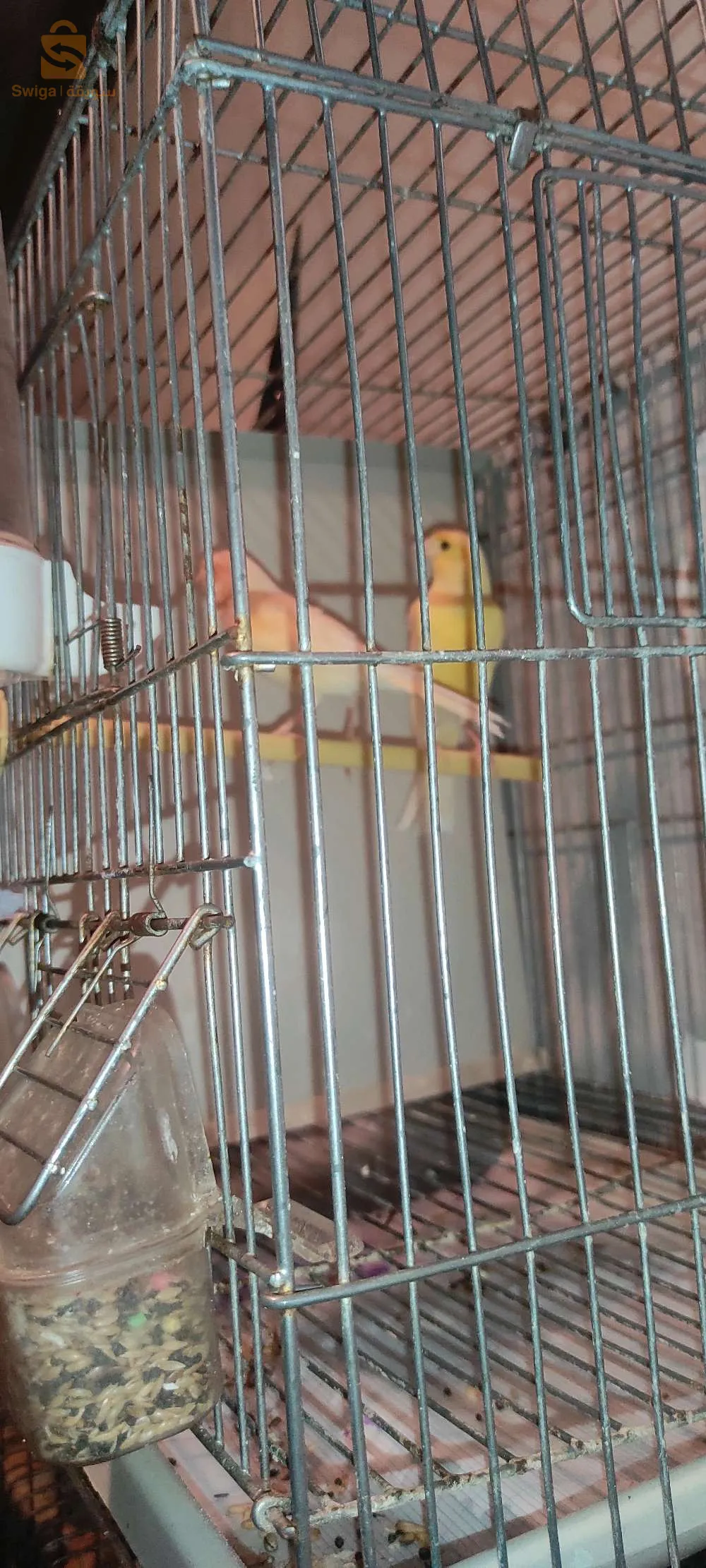 اردنال