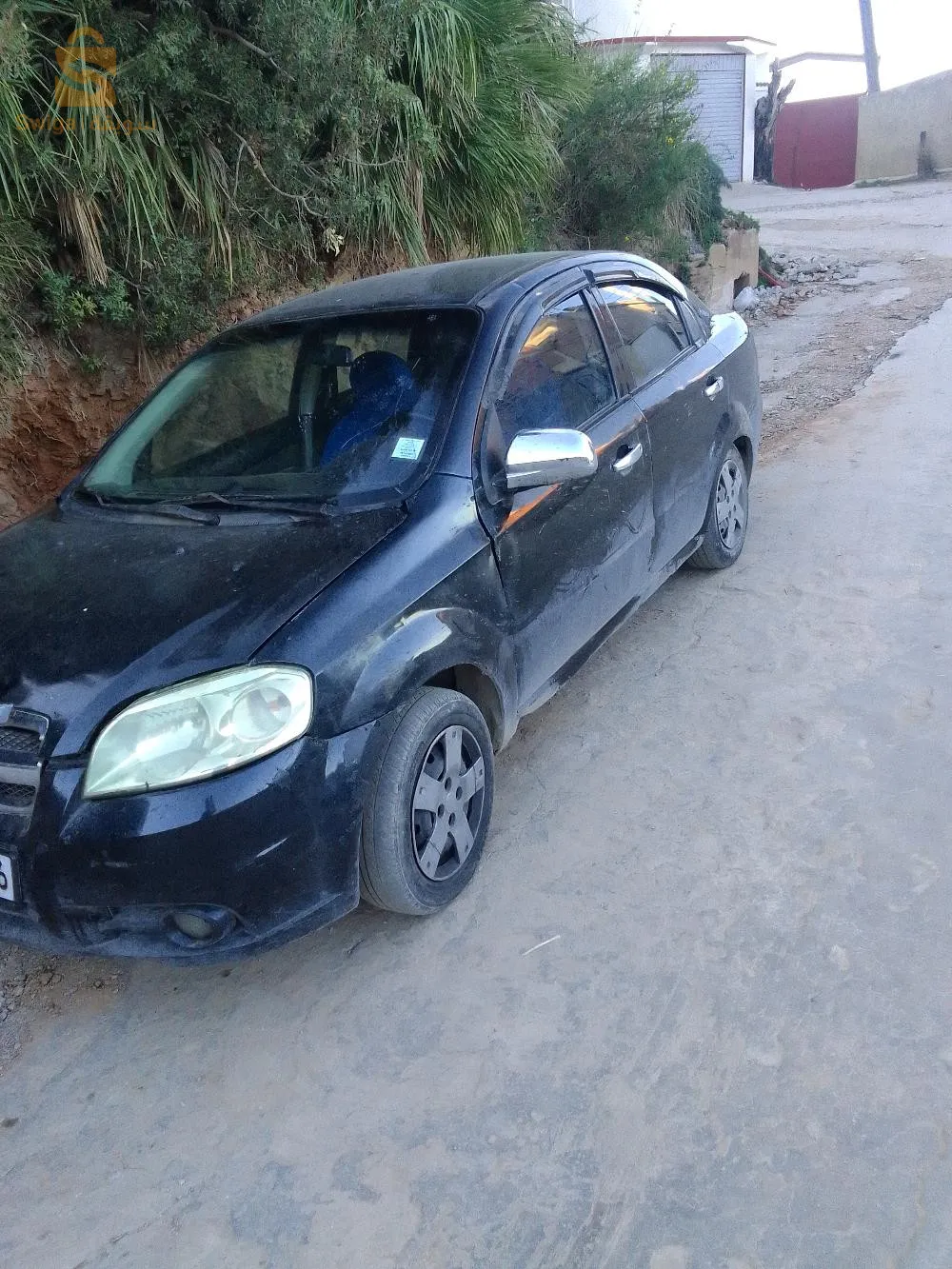 رايس حميدو
