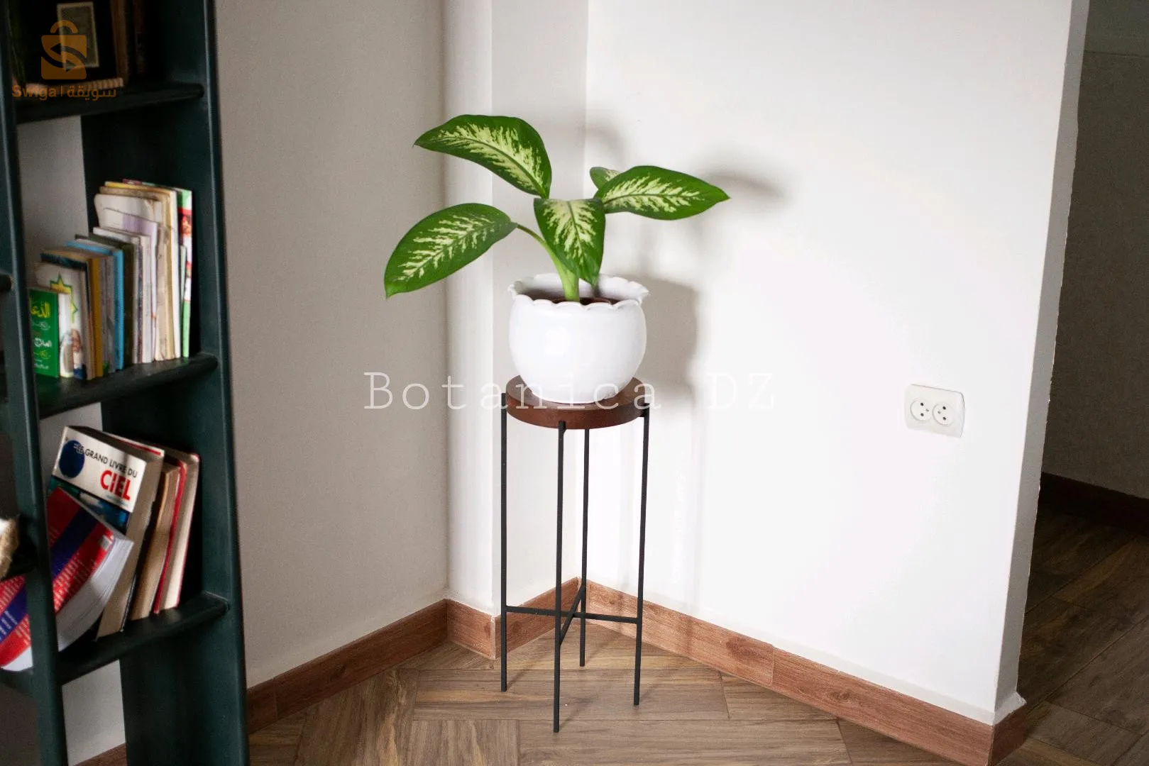 plantes d'intérieur ☘️ artificielles et naturelles avec pot en terre cuite et support en bois ou en fer ❤️