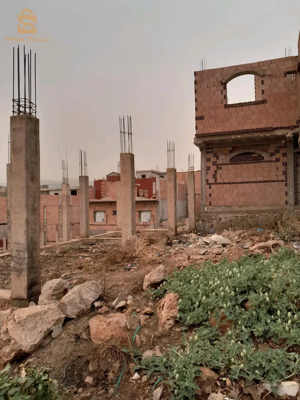 بوجليدة
