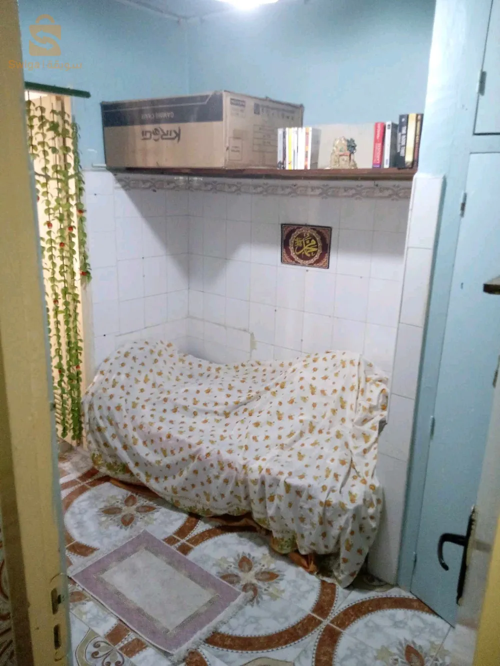 درڨانة الجزائر