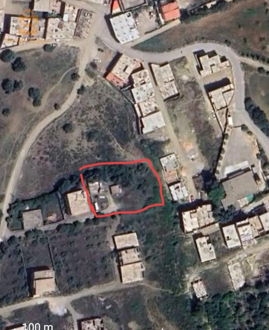 بوقرة البليدة