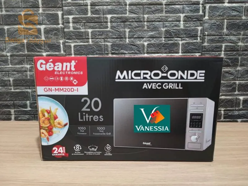 Four et Micro onde 2en1 marque géant