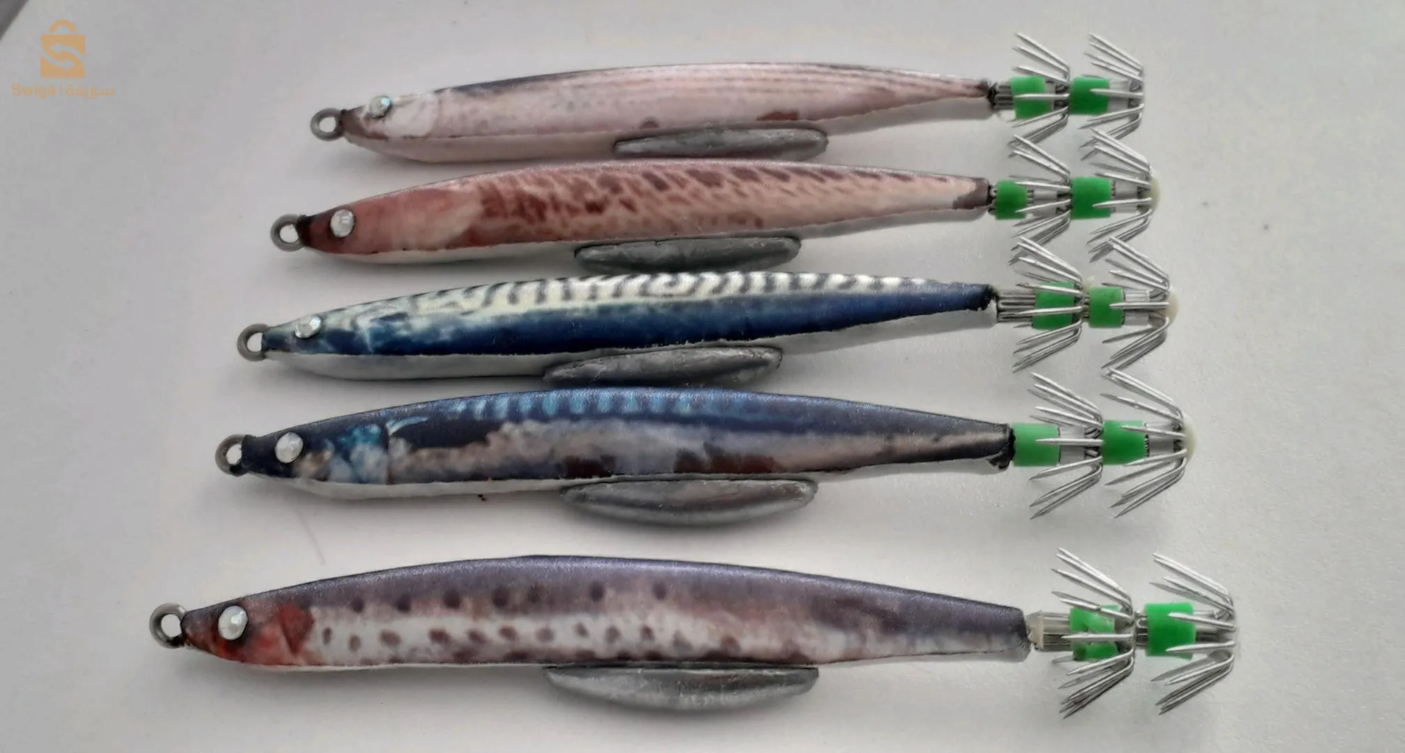 طعم صيد الحبار