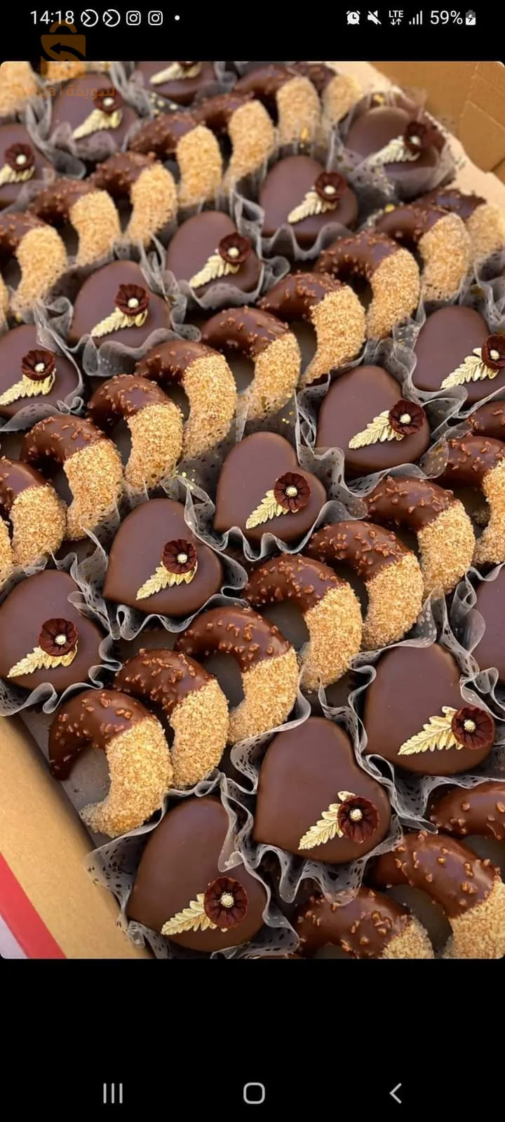 مرحب بيكم عند ام شفاء