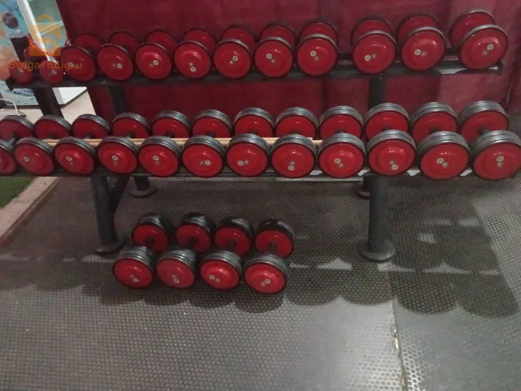 matériel salle de sport marque panatta d'origine