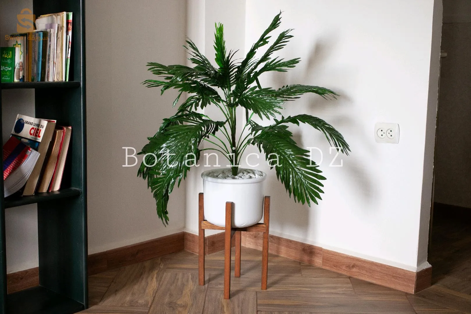 plantes d'intérieur ☘️ artificielles et naturelles avec pot en terre cuite et support en bois ou en fer ❤️