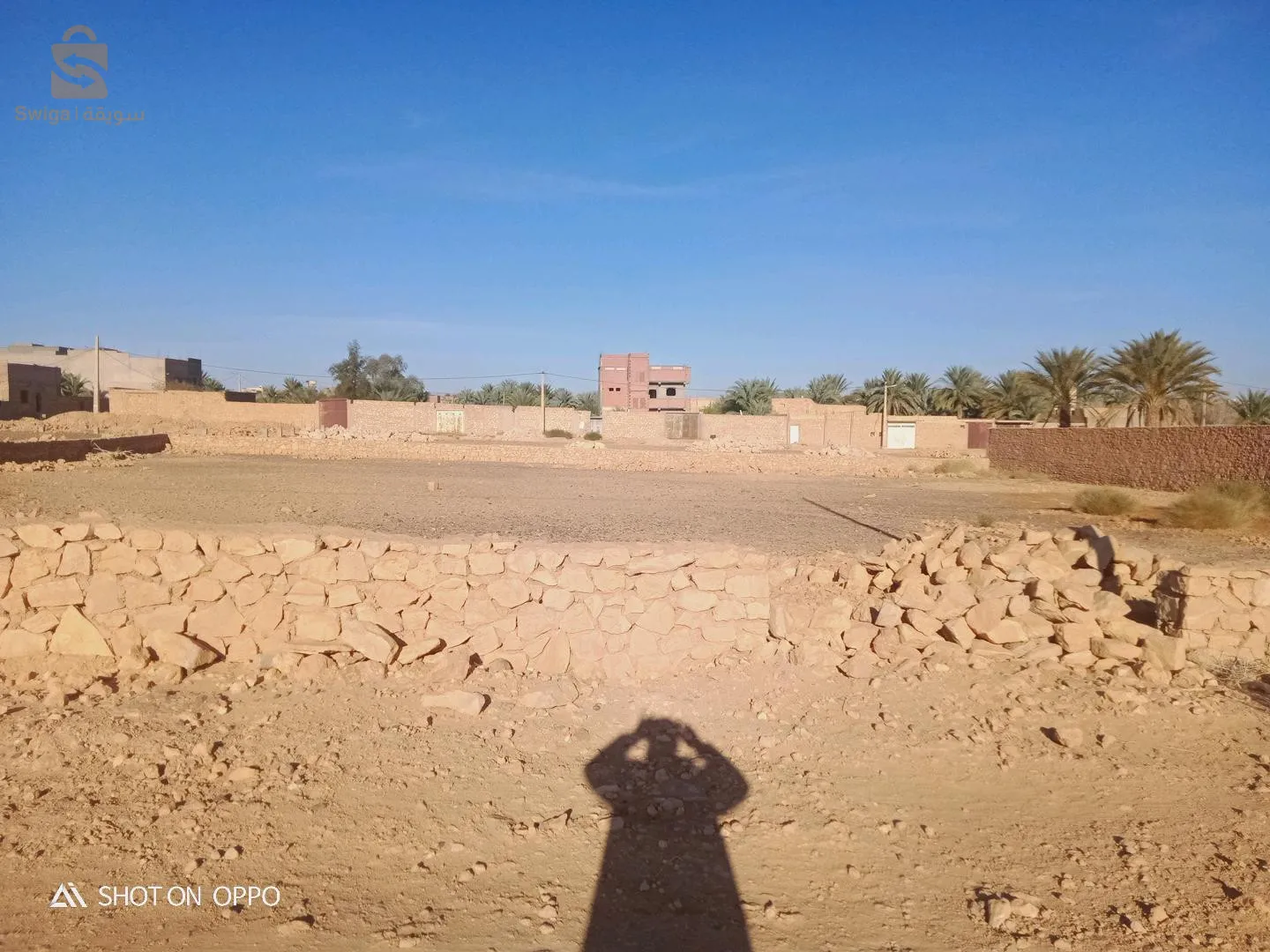 قطعة أرض للبيع ب 6000 دج للمتر مربع قابل للتفاوض  رقم الهاتف 0661690512،محمد