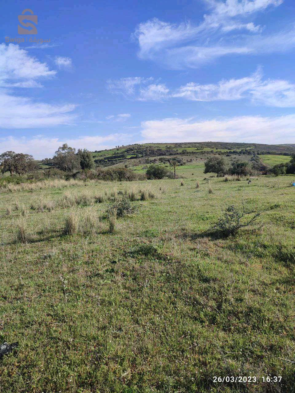 قطعة ارض بناء 3.6 هكتار للبيع سكيكدة الحدائق