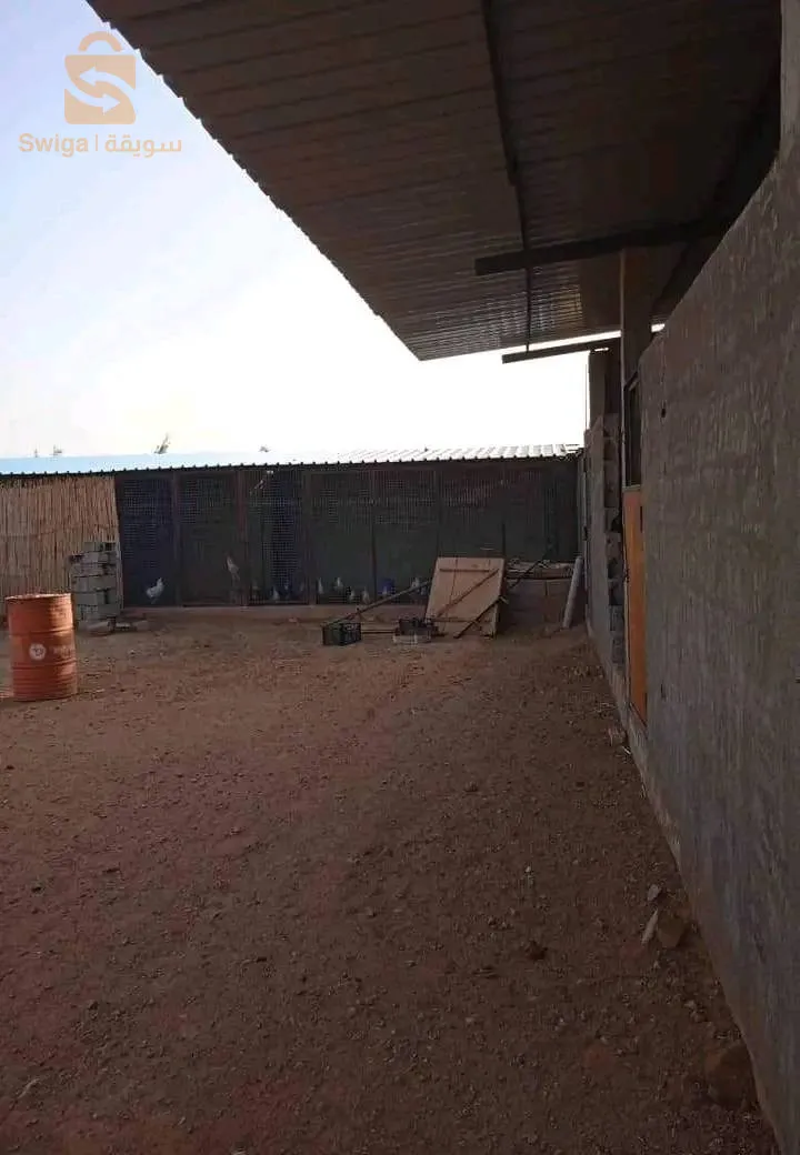 طريق الفنادسة بشار