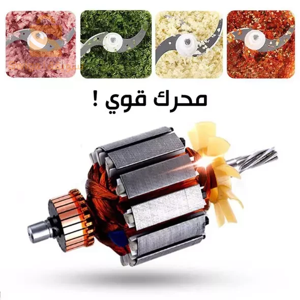 مفرمة و رحاية الخضر و اللحوم بشفرات حادة مقاومة للصدأ و وعاء من الاينوكس Skanex Hachoir Électrique Avec Un Bol En Acier Inoxydable 300W
