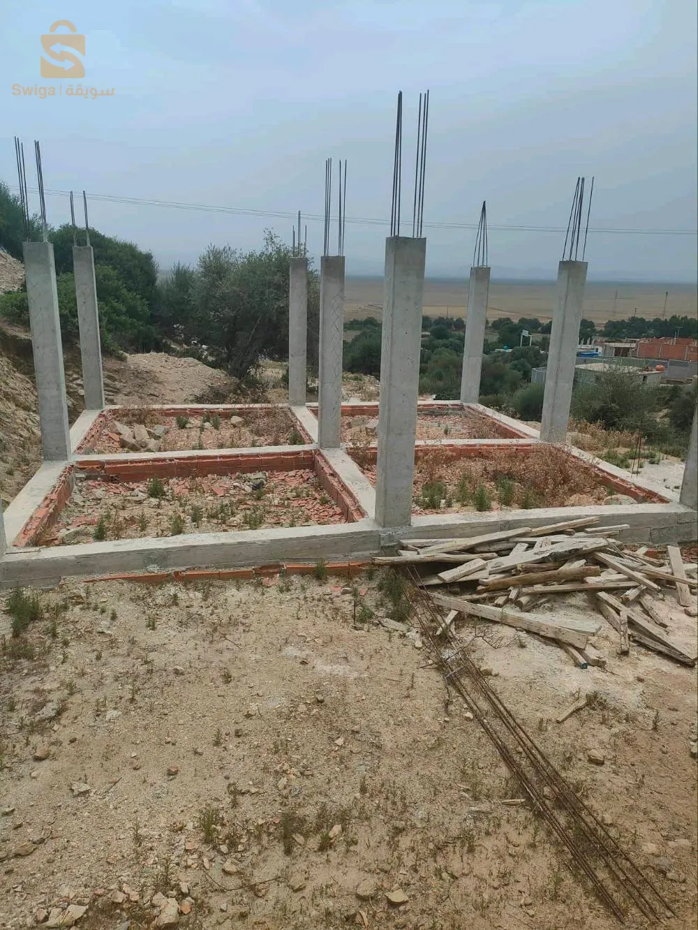 عايب عمار