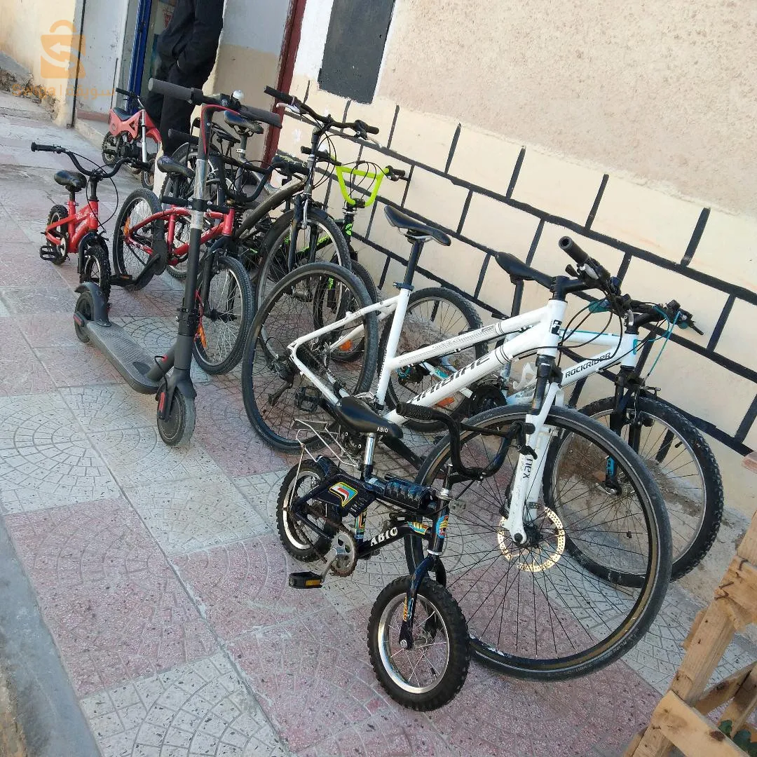 فيلو فرنسا حاجة الله يبارك