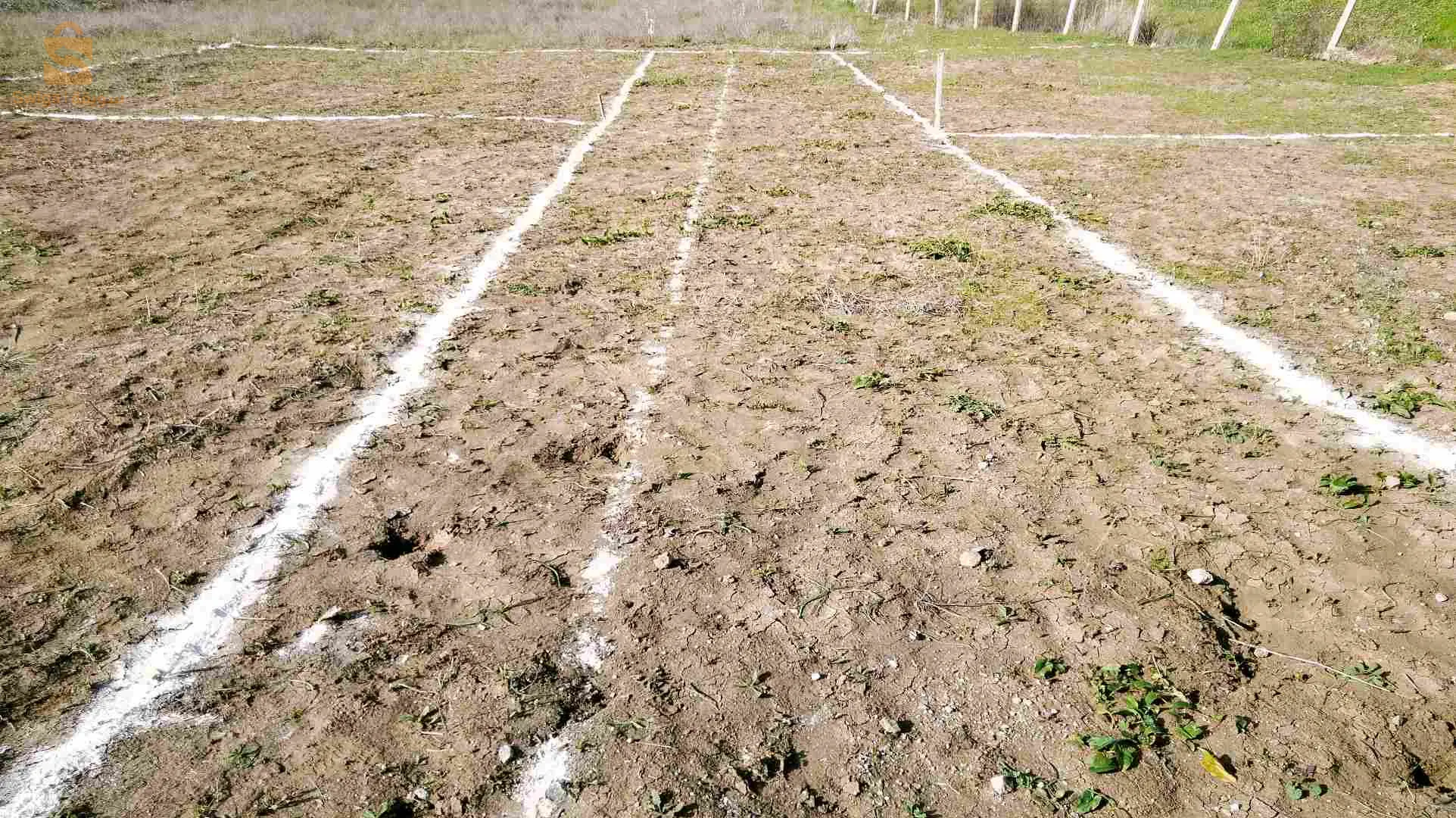 ارض للبيع عمرانية في تيجلابين ولاية بومرداس