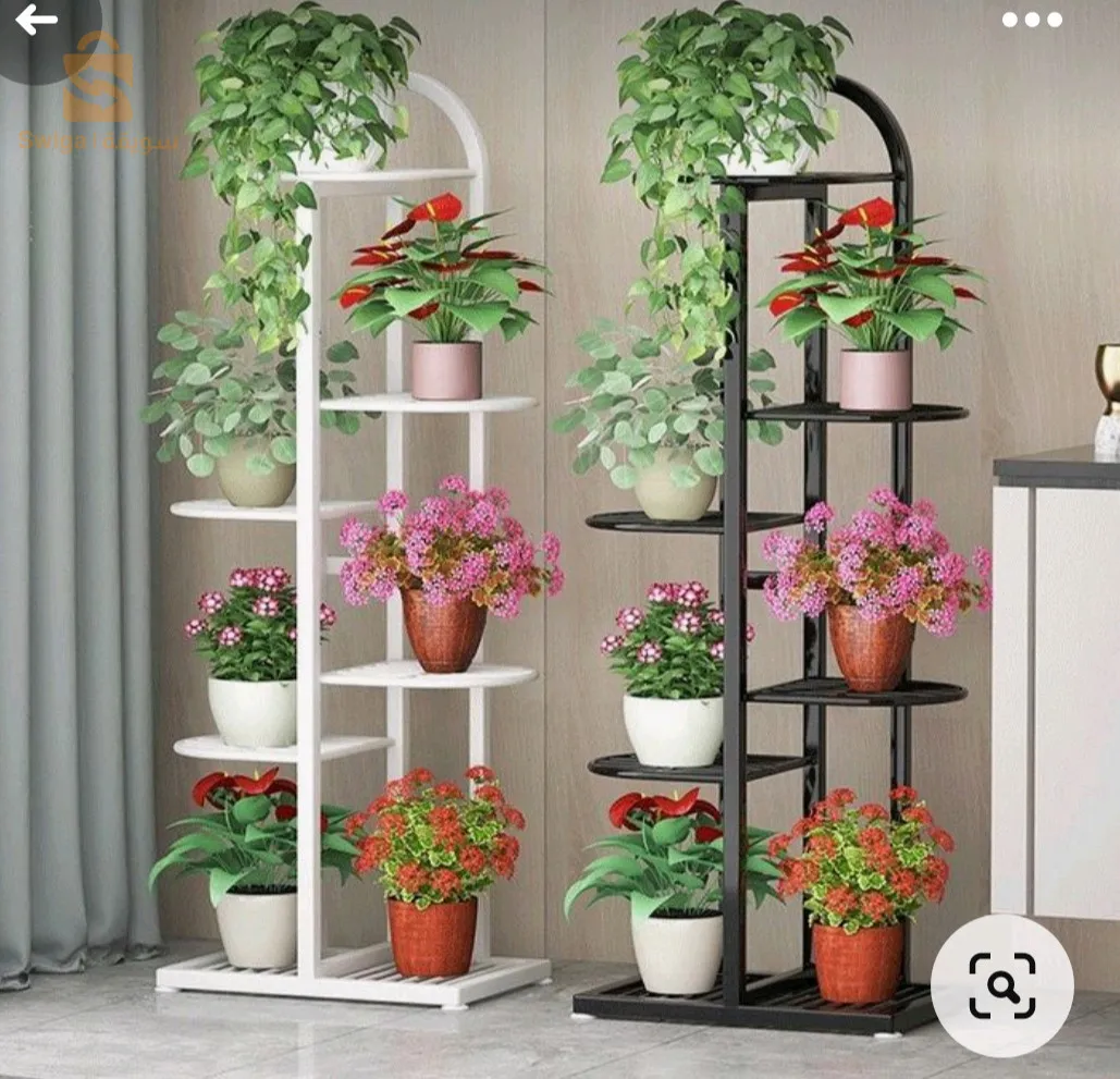 علاقة نباتات