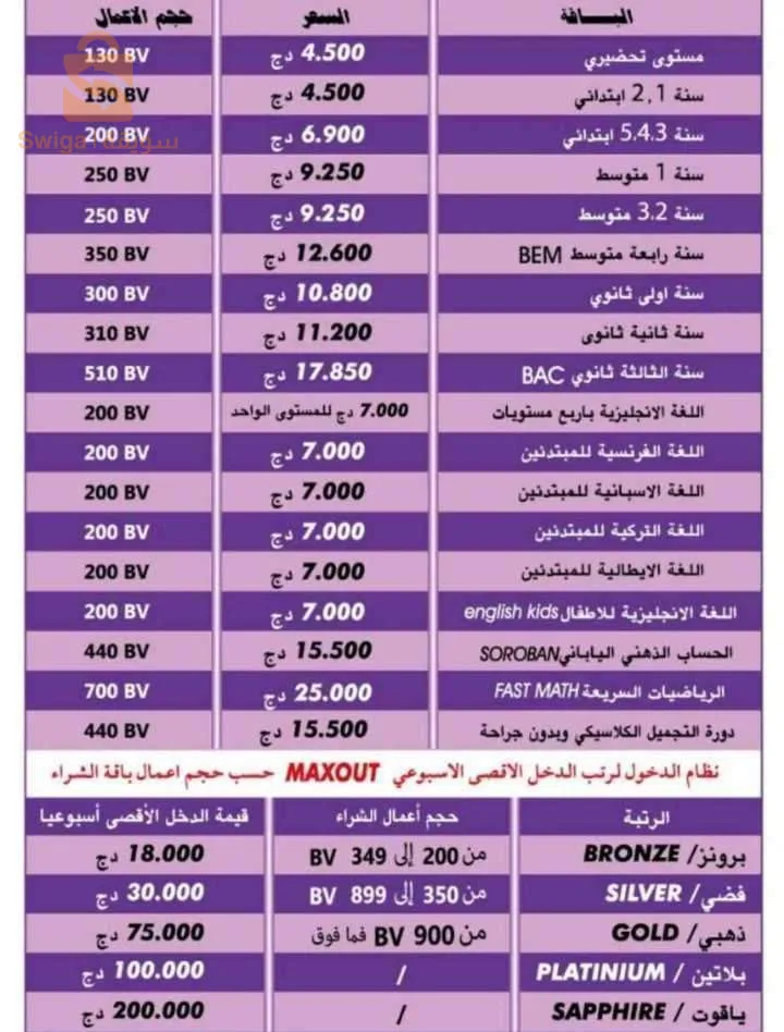 علم وعمل تسويق خدمات إليكترونية عن بعد