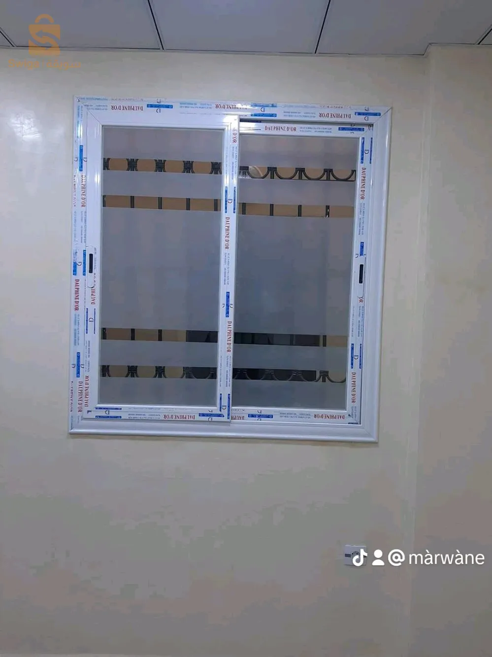 البيض