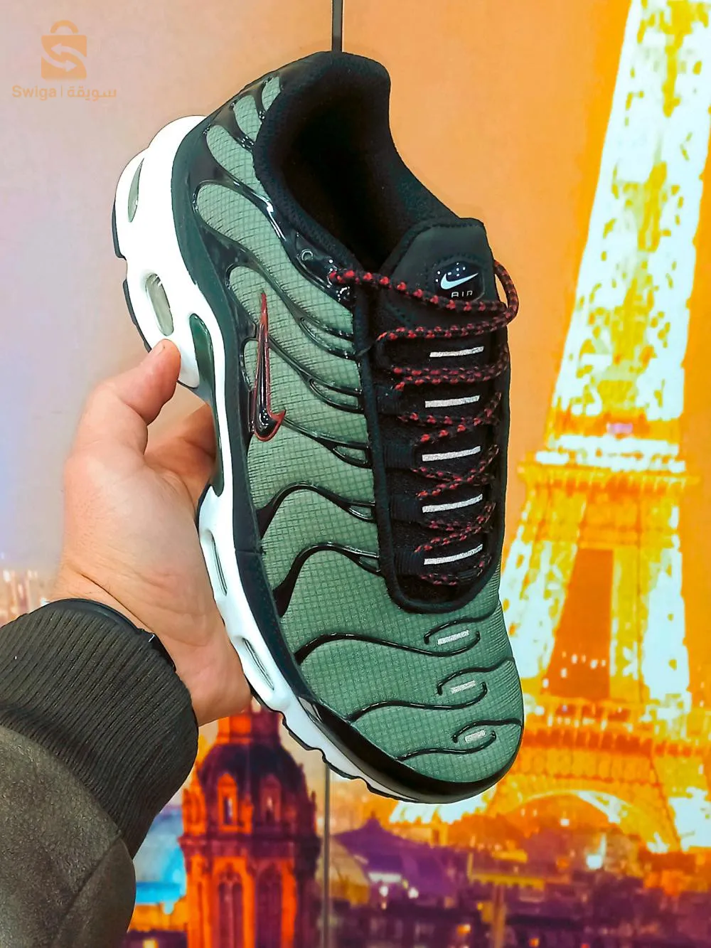 Tn. Lacoste. Dz