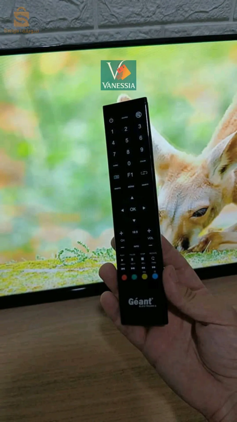Téléviseur Géant 32 Pouces simple