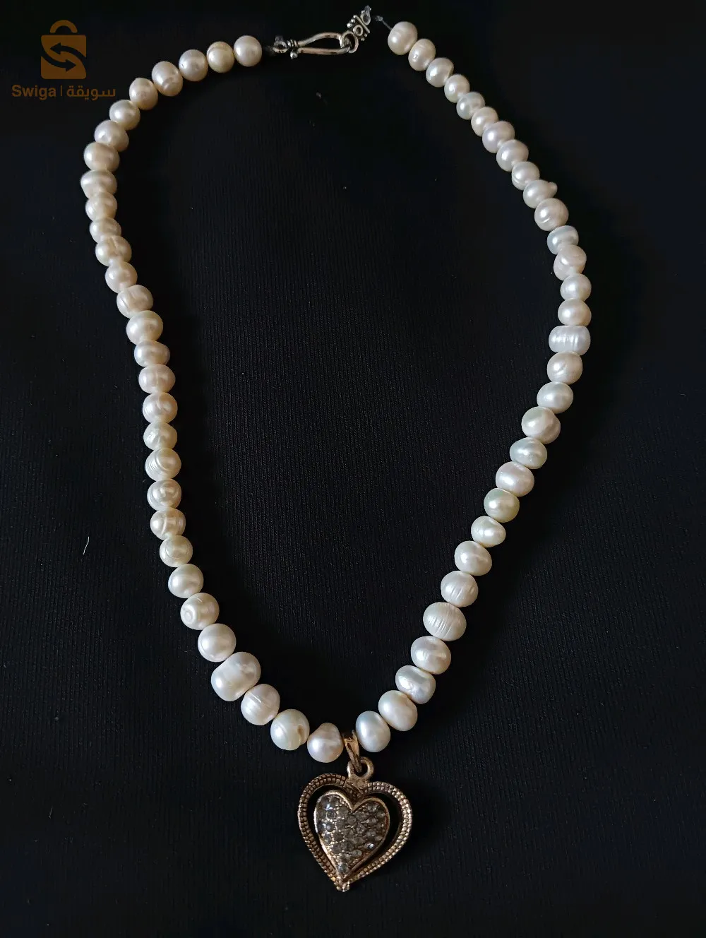 ذارع ريش حي 2000 مسكن