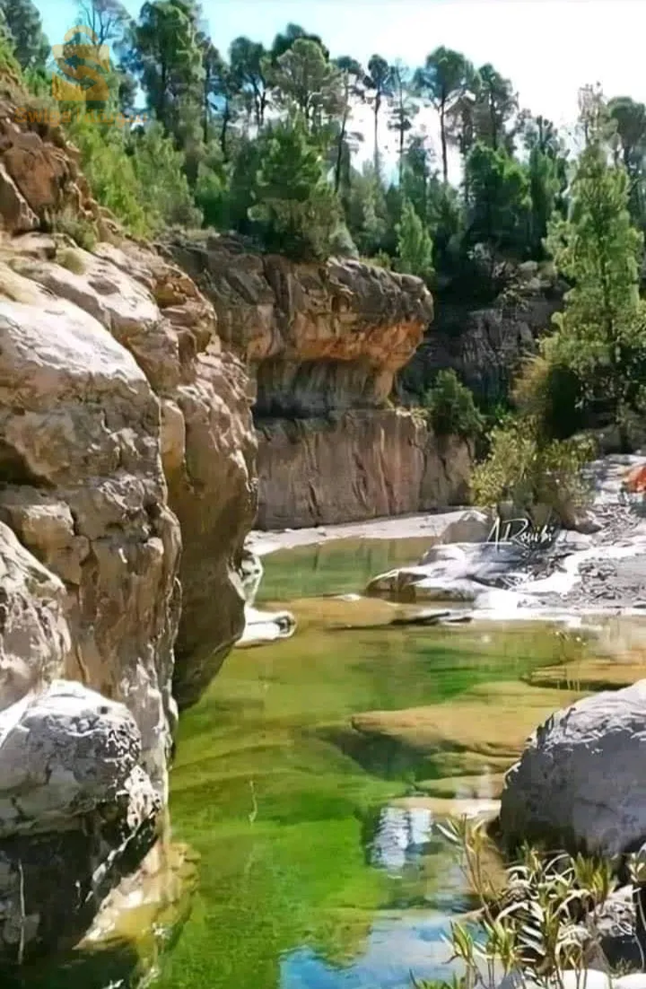 وهران