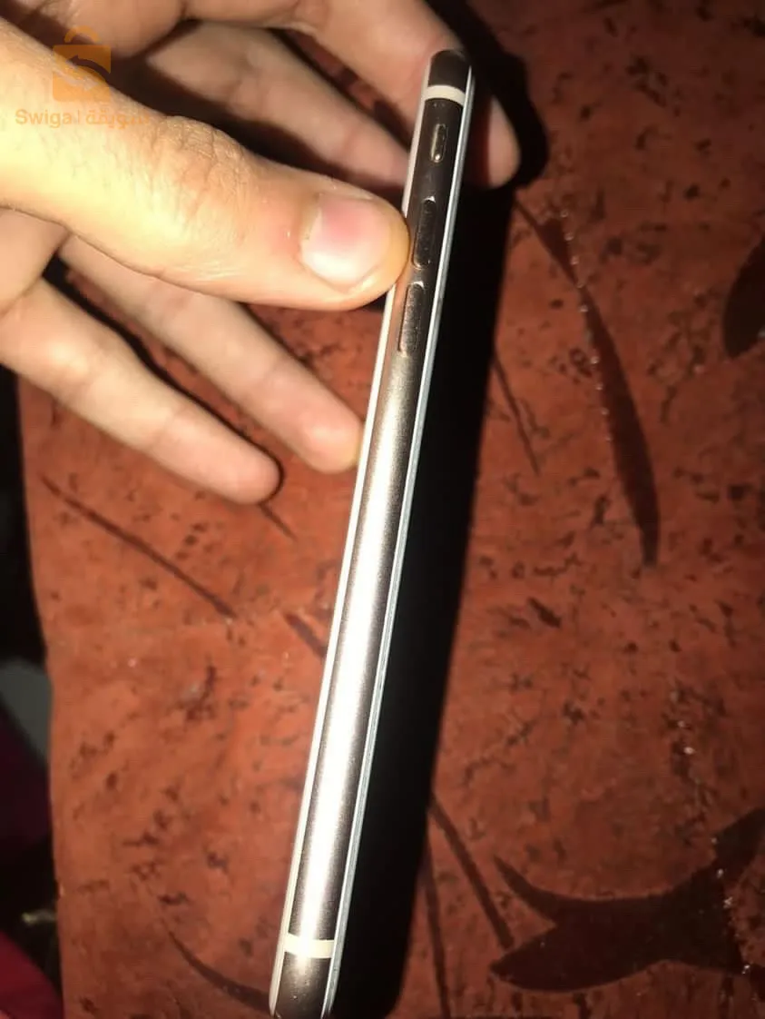 رغاية الجزائر😻