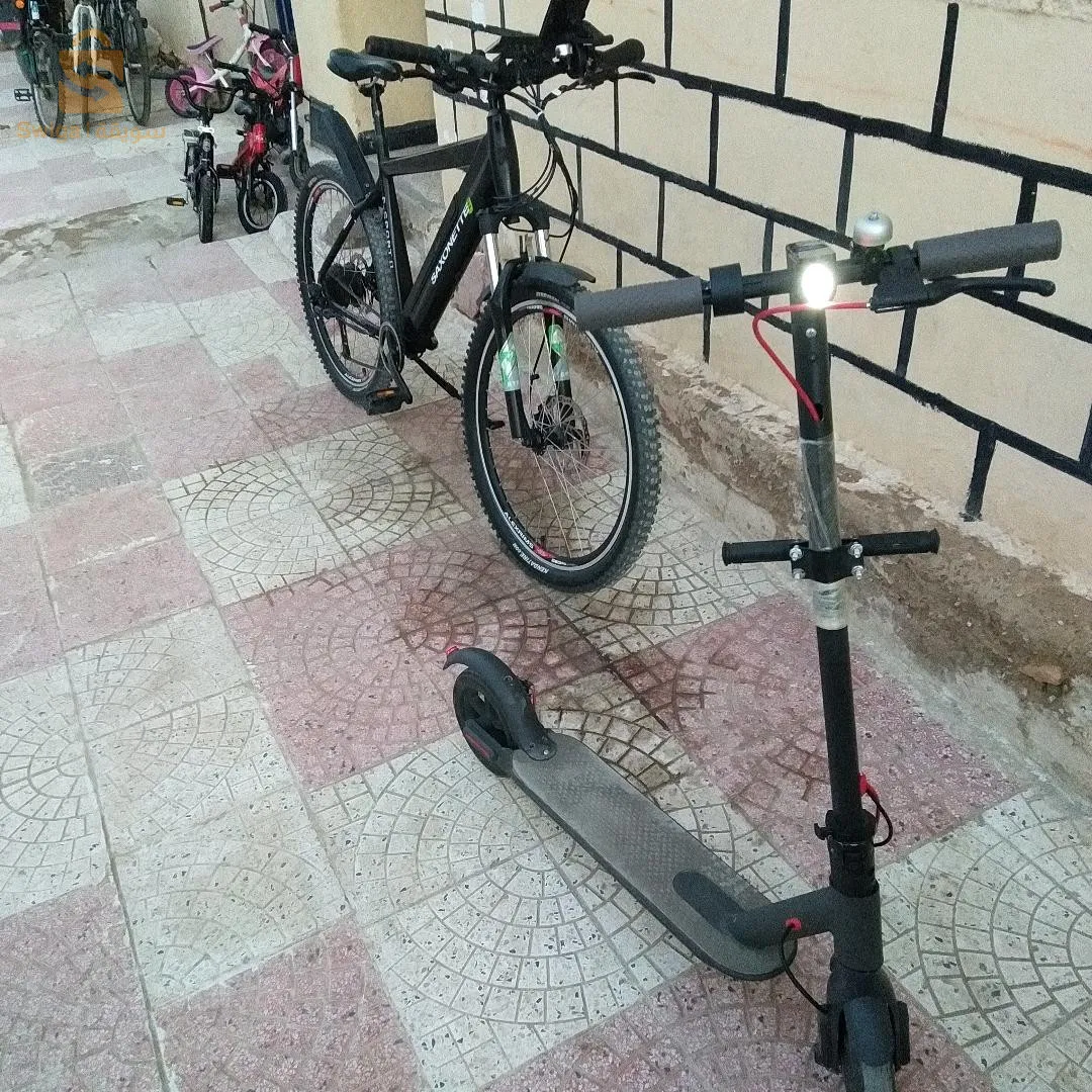 فيلو فرنسا حاجة الله يبارك