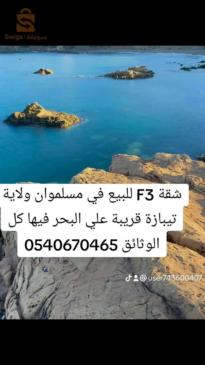 قوراية ولاية تيبازة سنتر فيل