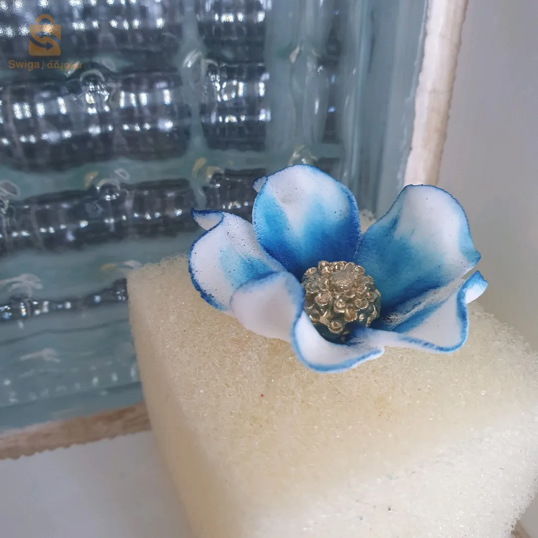 ورود