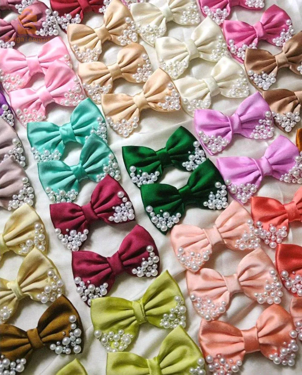 اكسيسوارات الشعر