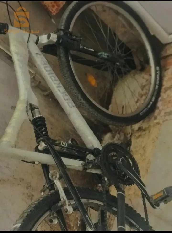 Rockrider  افارر