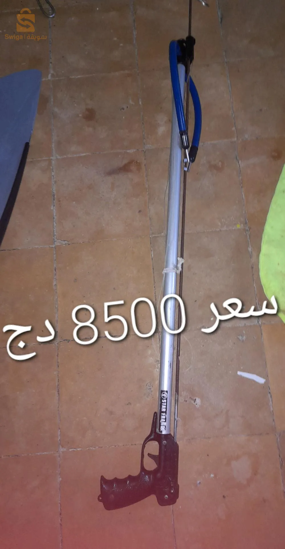 المرسى