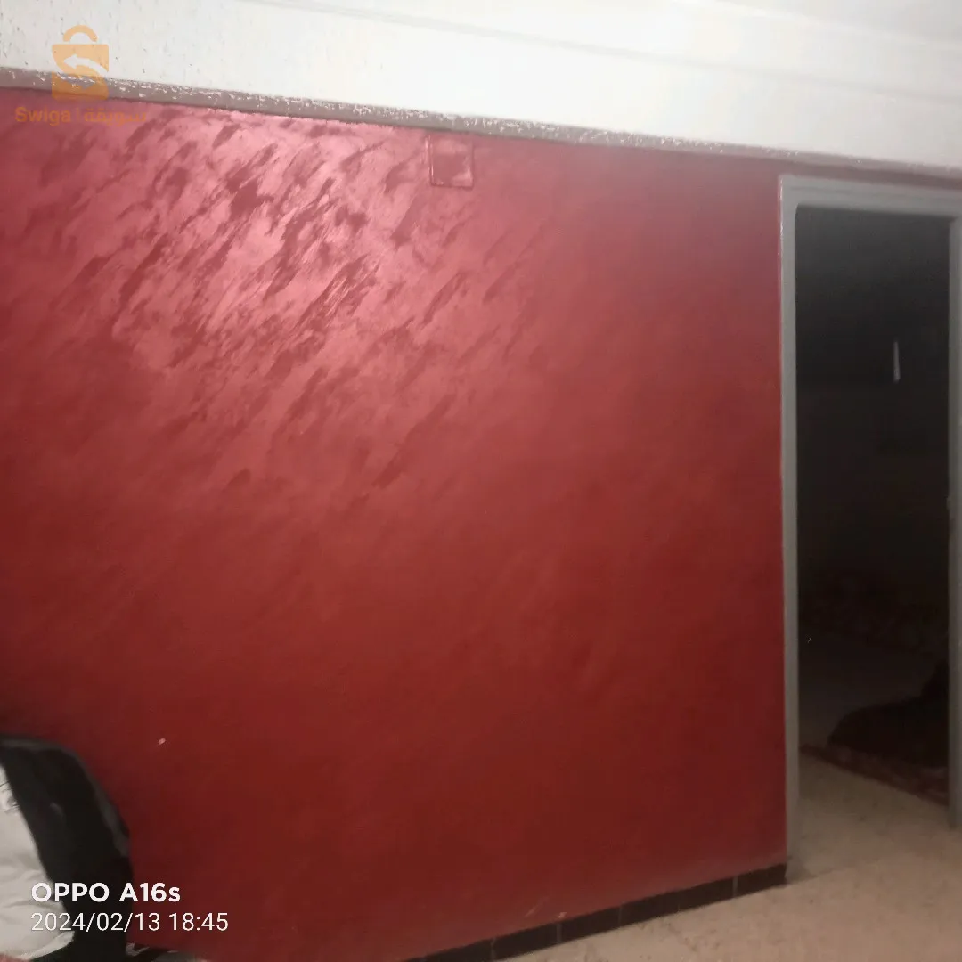 peintre professionnel