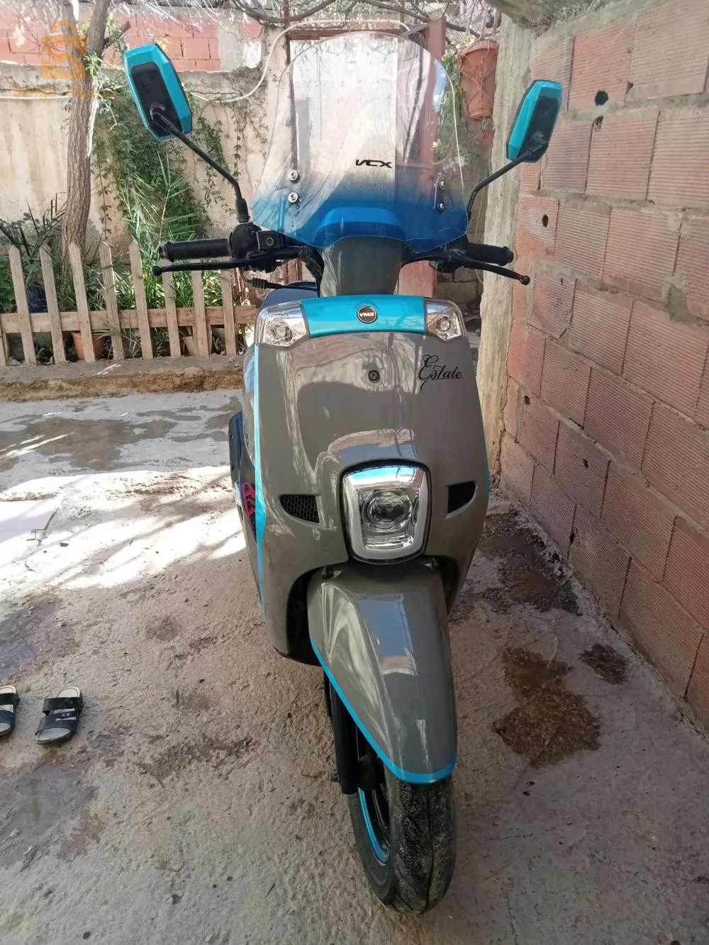 الشلف الشرفة