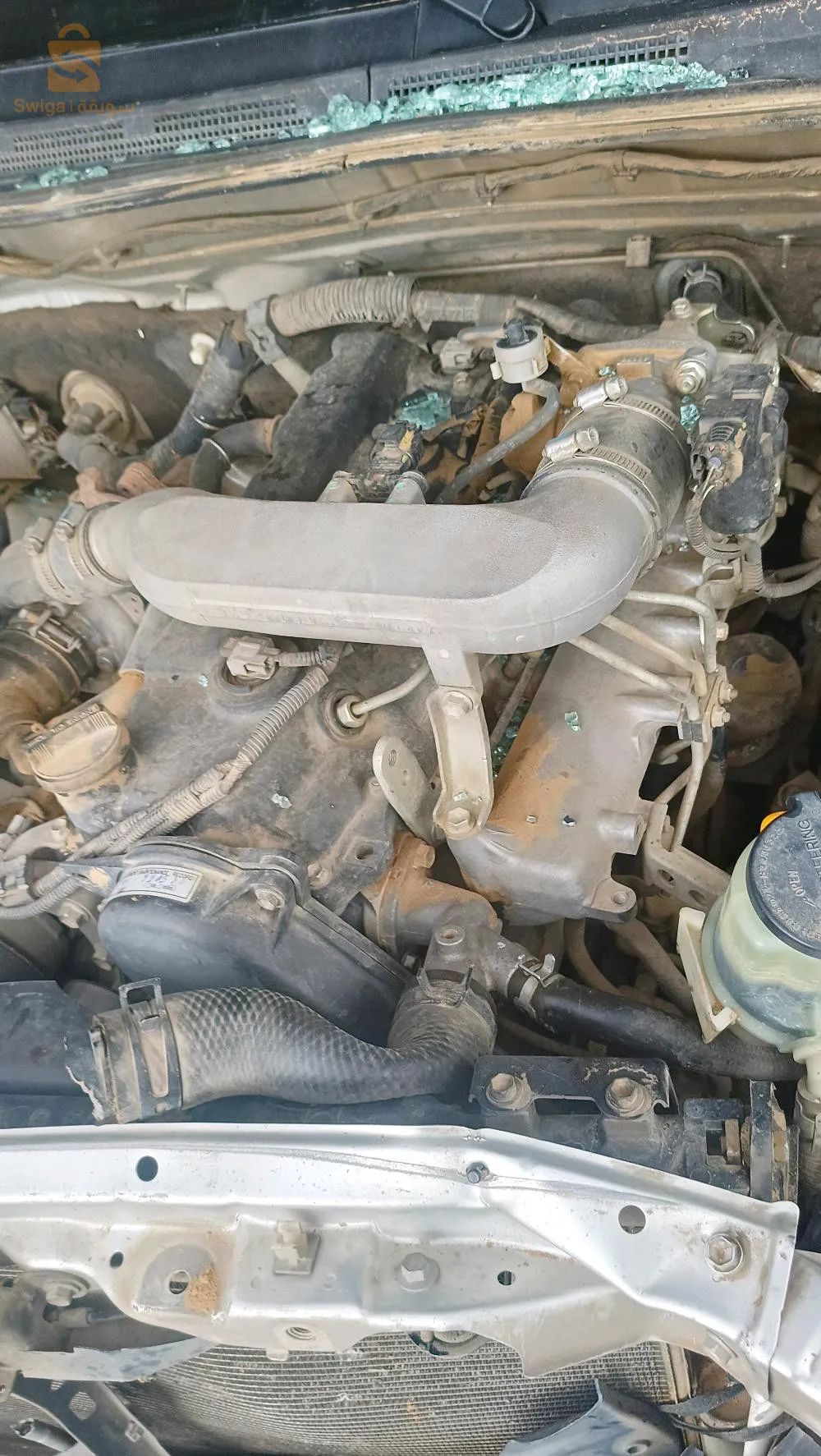باتنة رقم الهاتف 0675915979