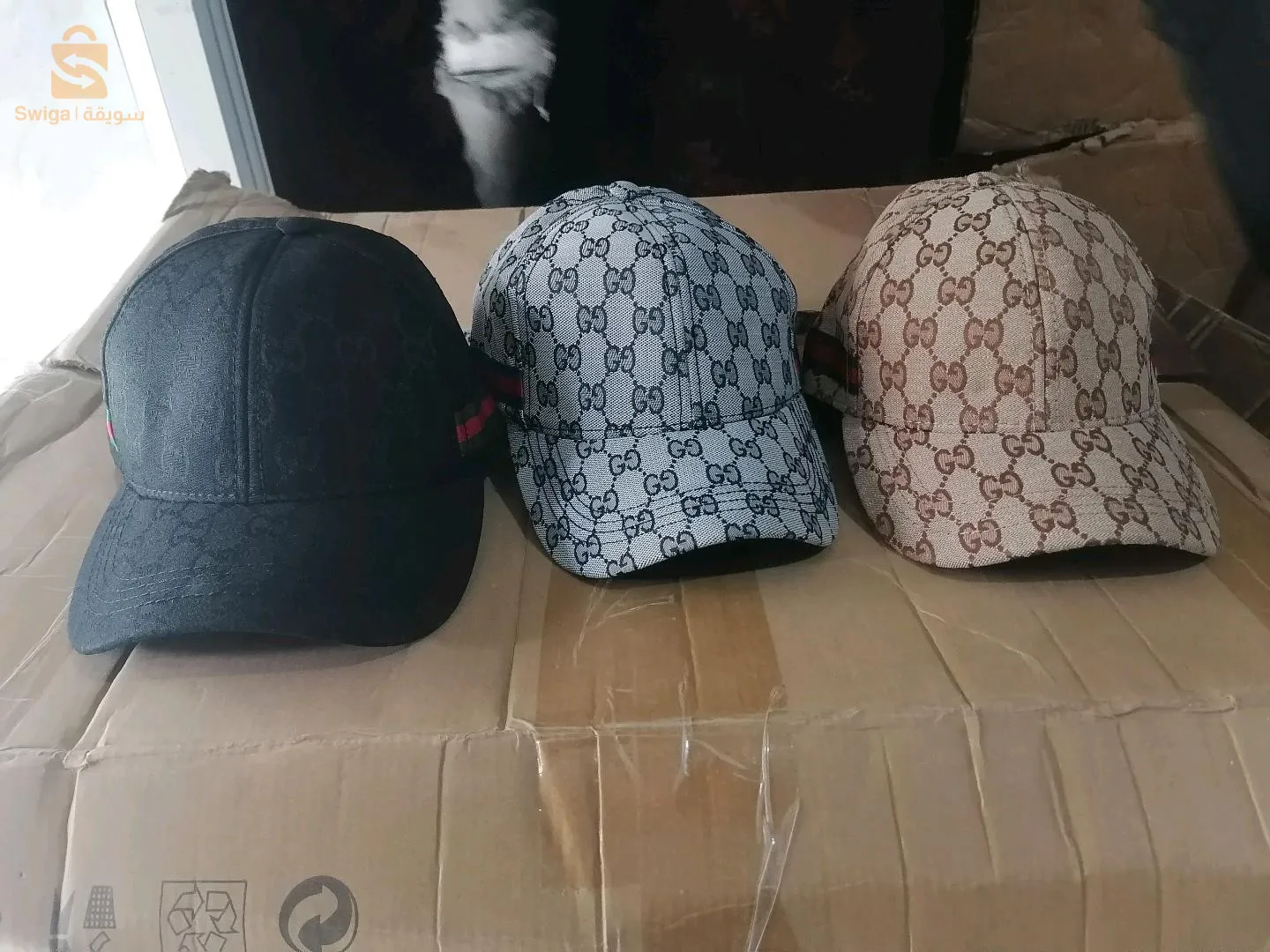 سكوشات كاسكيطات