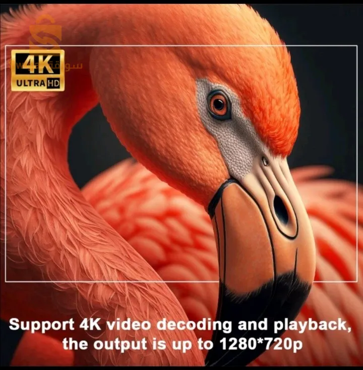 داتاشو اندرويد 4K   11.0