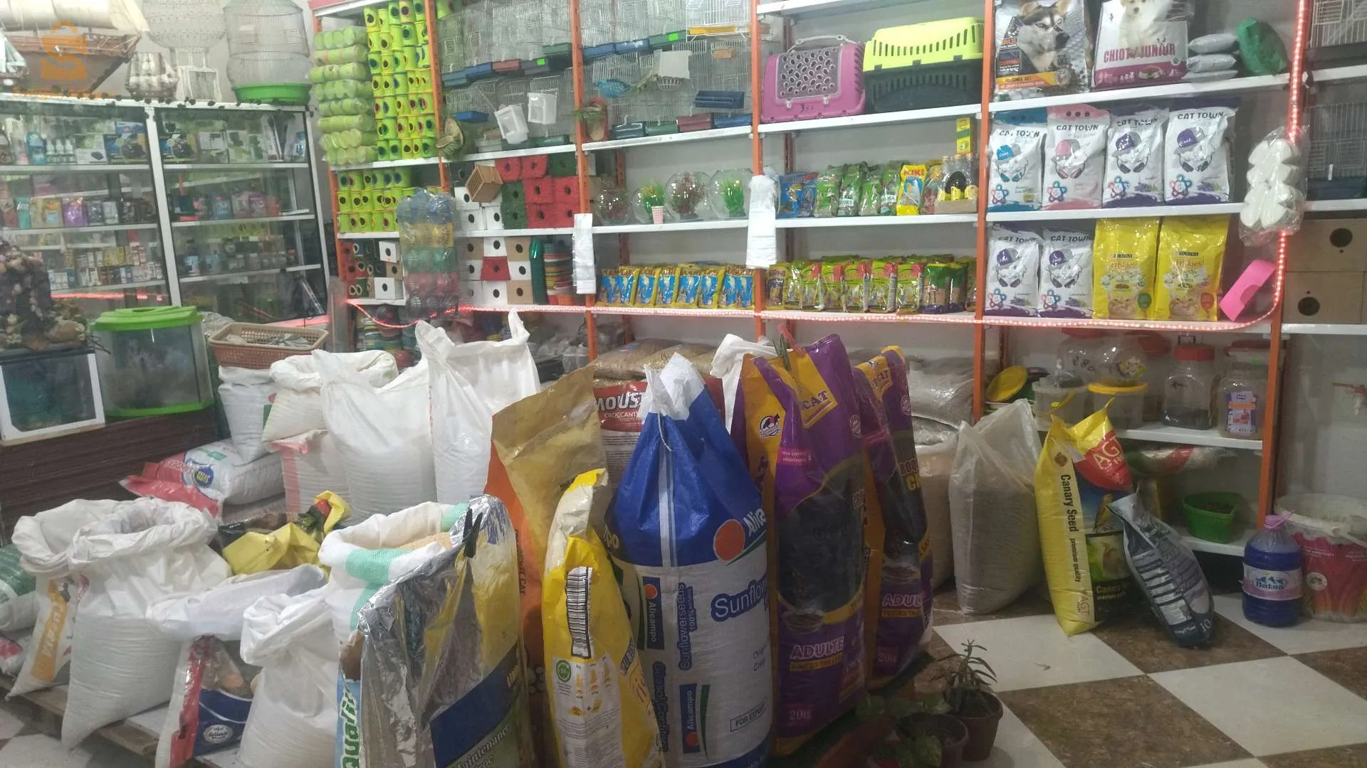 بيع كل الطيور والاسماك