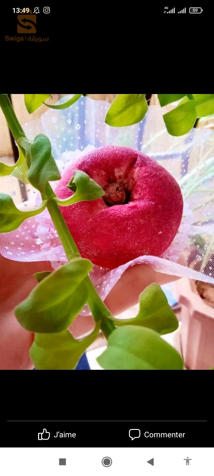 حلويات كم لجميع مناسباتكم البنة مضمونة مرحبا بيكم 🥰