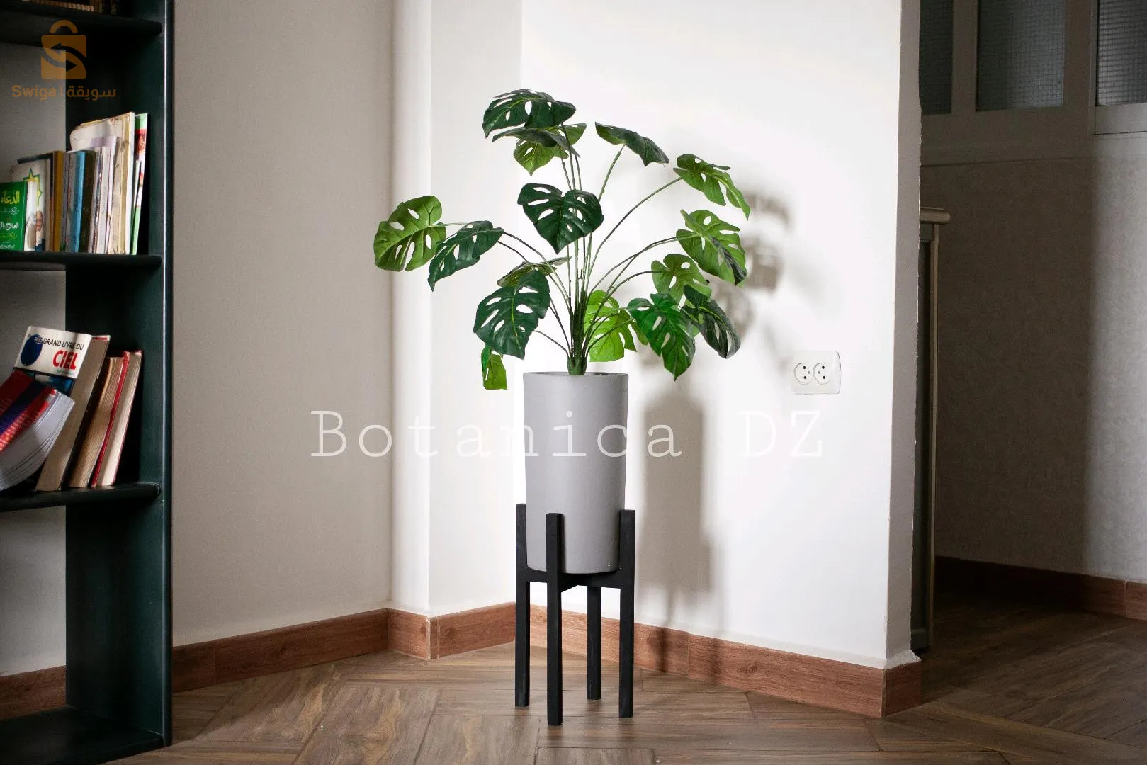 plantes d'intérieur ☘️ artificielles et naturelles avec pot en terre cuite et support en bois ou en fer ❤️