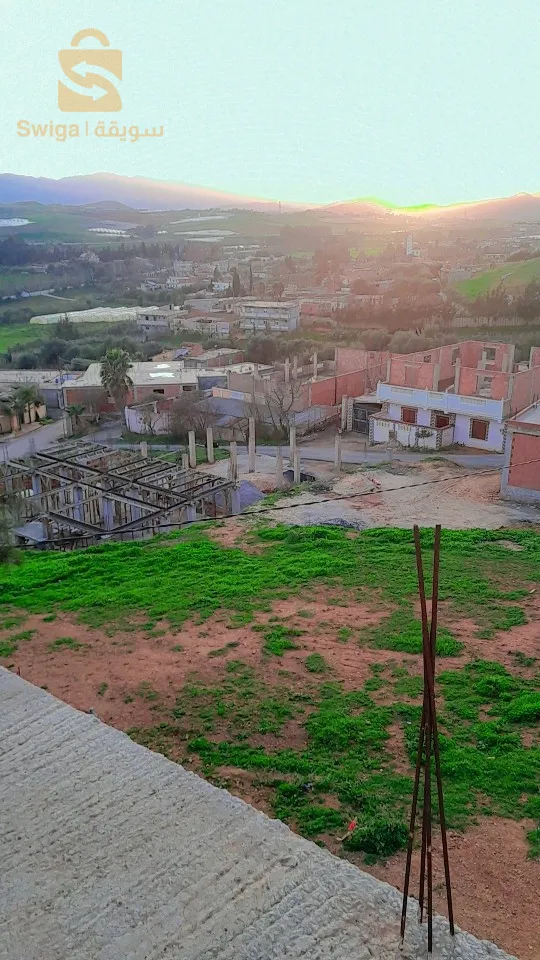الناظور تيبازة