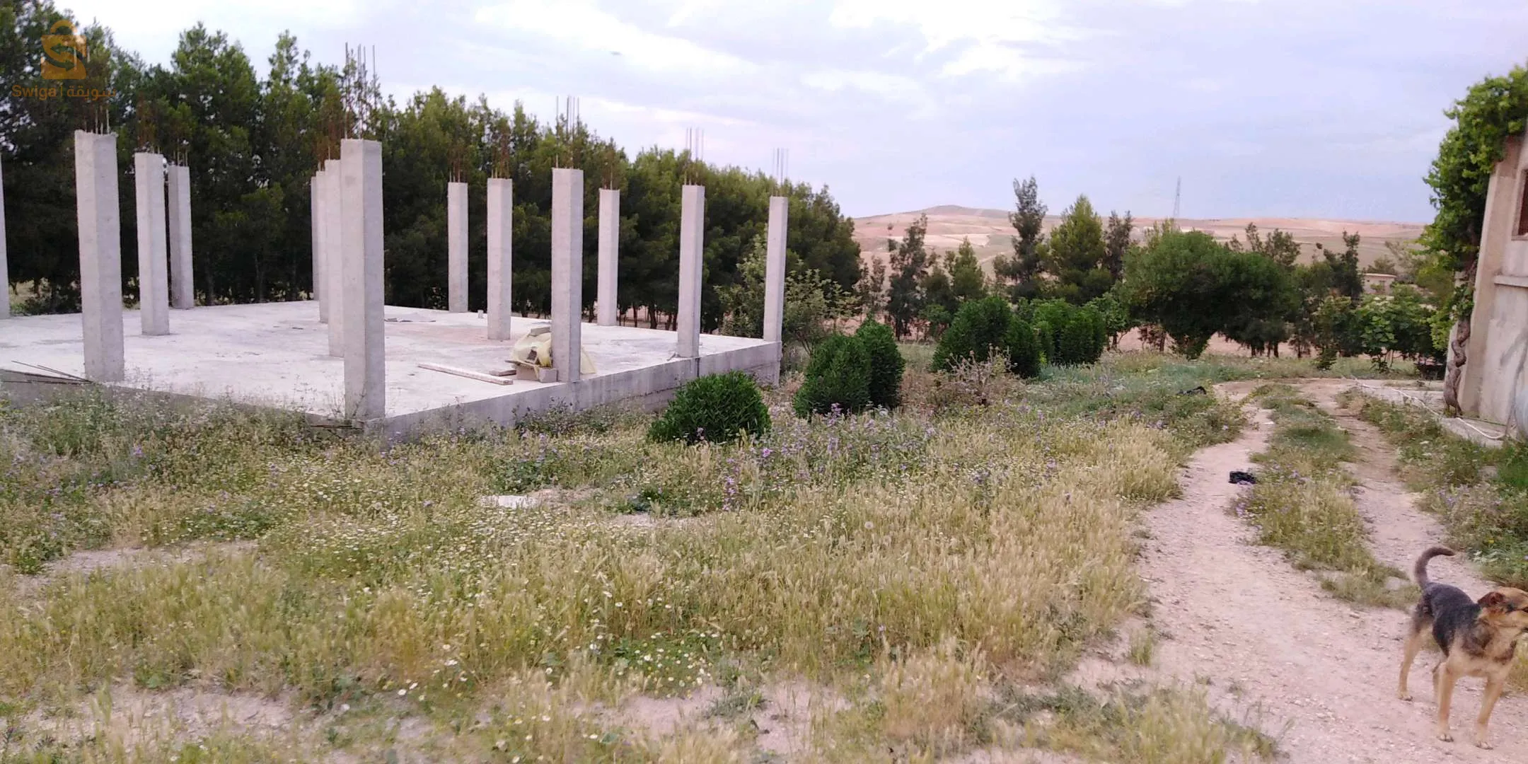 قطعة ارض للبيع ومعه منزل المساحة نصف قطار المكان بين واد العثمانية و شلغوم العيد