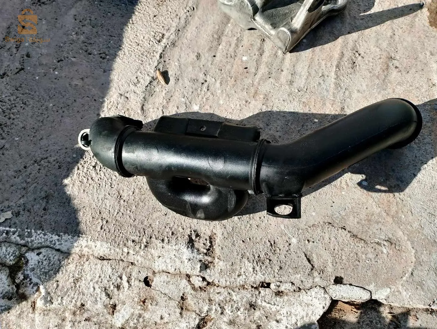 شلغوم العيد