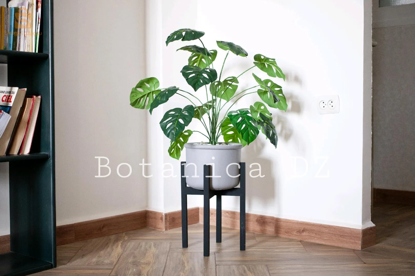 plantes d'intérieur ☘️ artificielles et naturelles avec pot en terre cuite et support en bois ou en fer ❤️