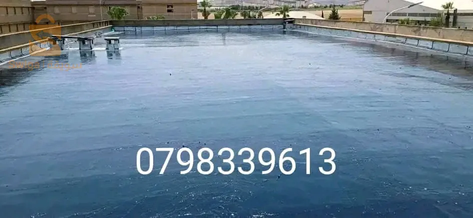 إتونشيتي
