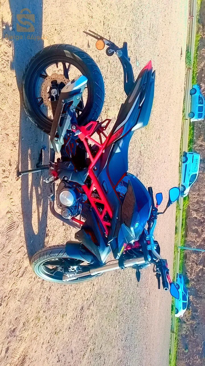 بنيلي تينتي 150