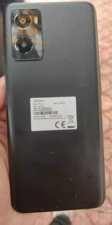 عزابة سكيكدة