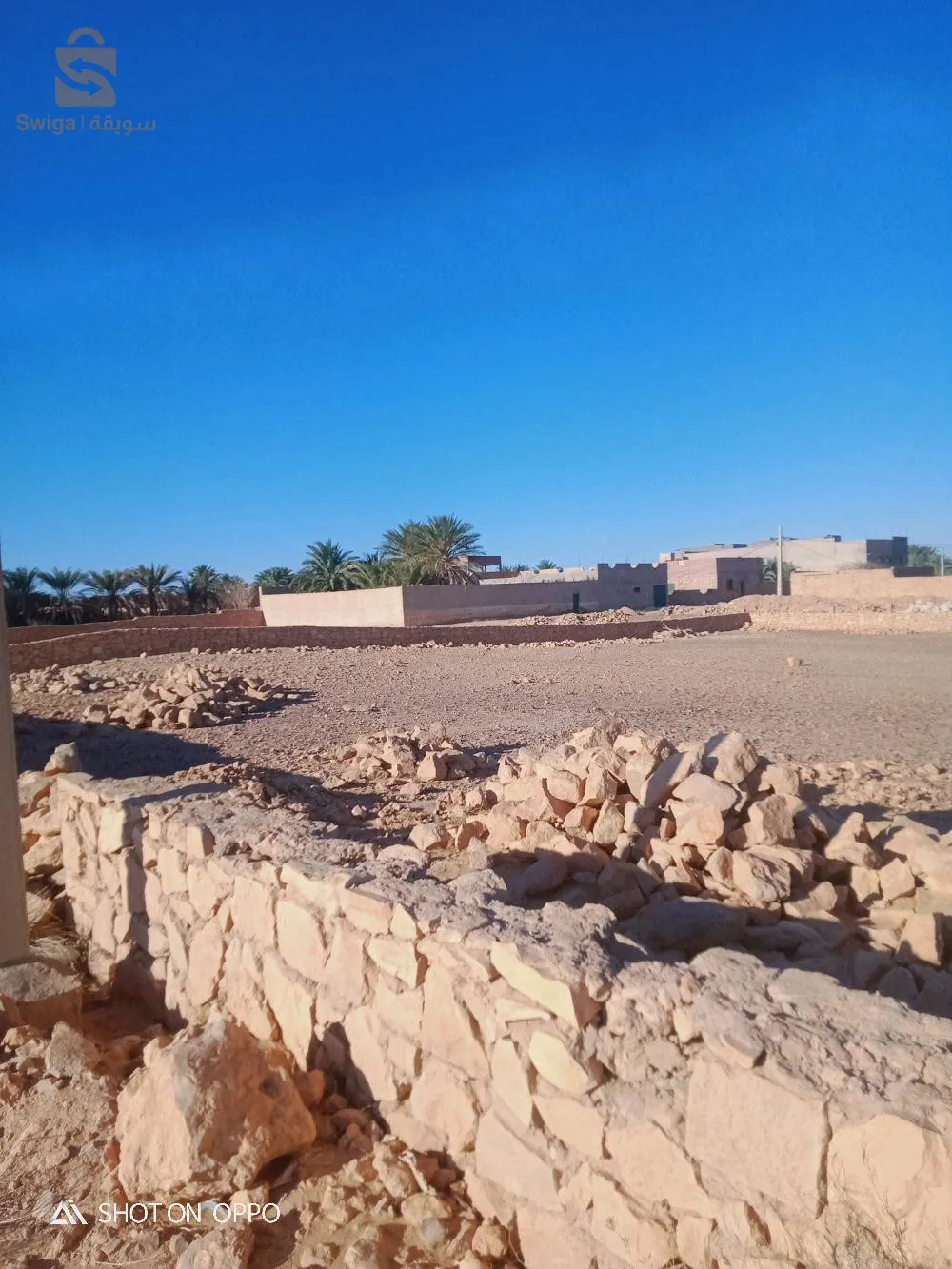 قطعة أرض للبيع ب 6000 دج للمتر مربع قابل للتفاوض  رقم الهاتف 0661690512،محمد