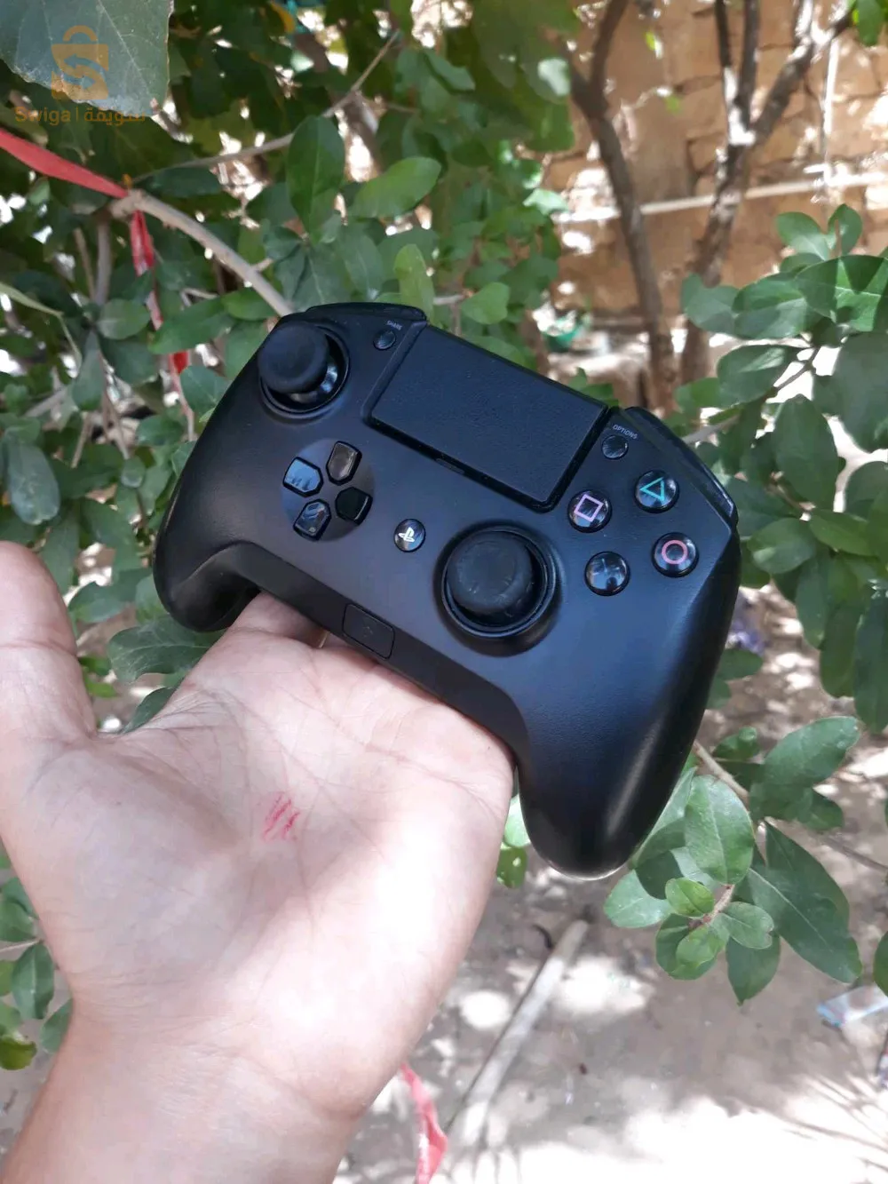 سيدي عيسى/ المسيلة