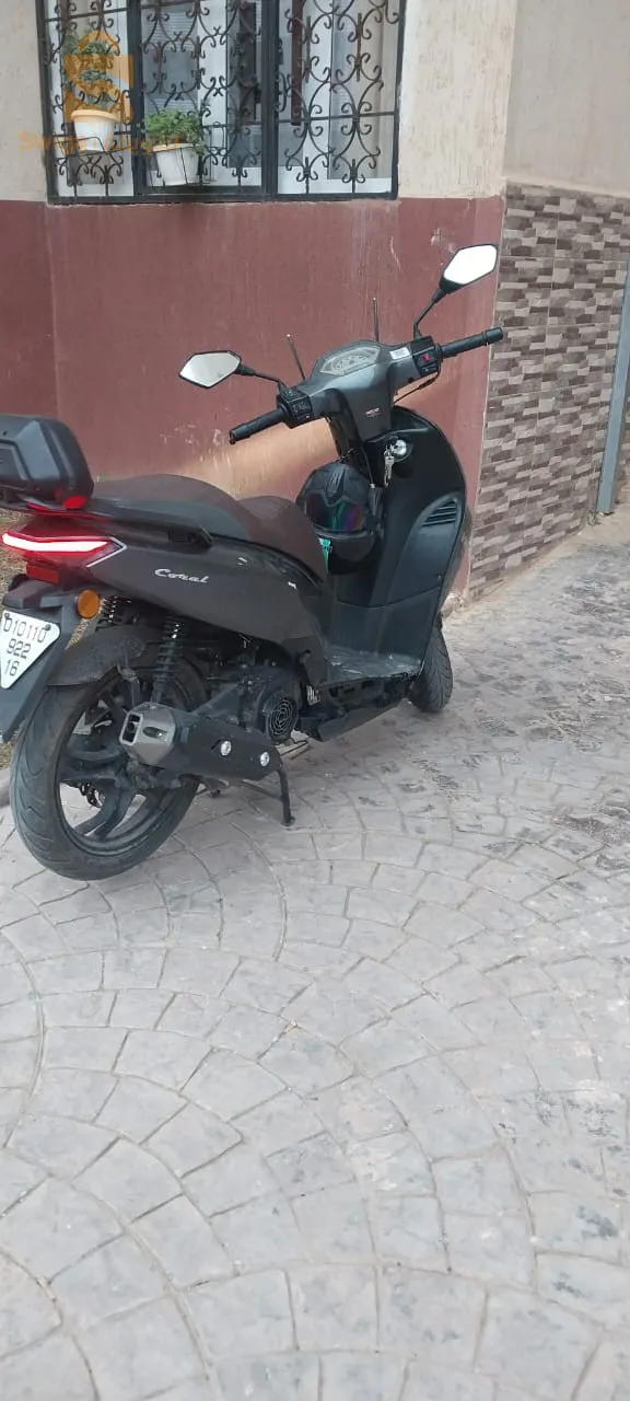 bab ezzouar